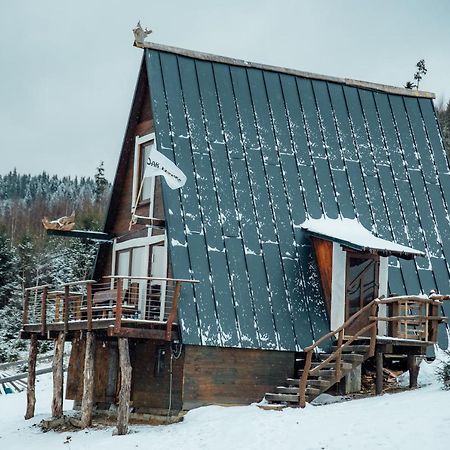 شقة Oak House باليانيتسيا المظهر الخارجي الصورة