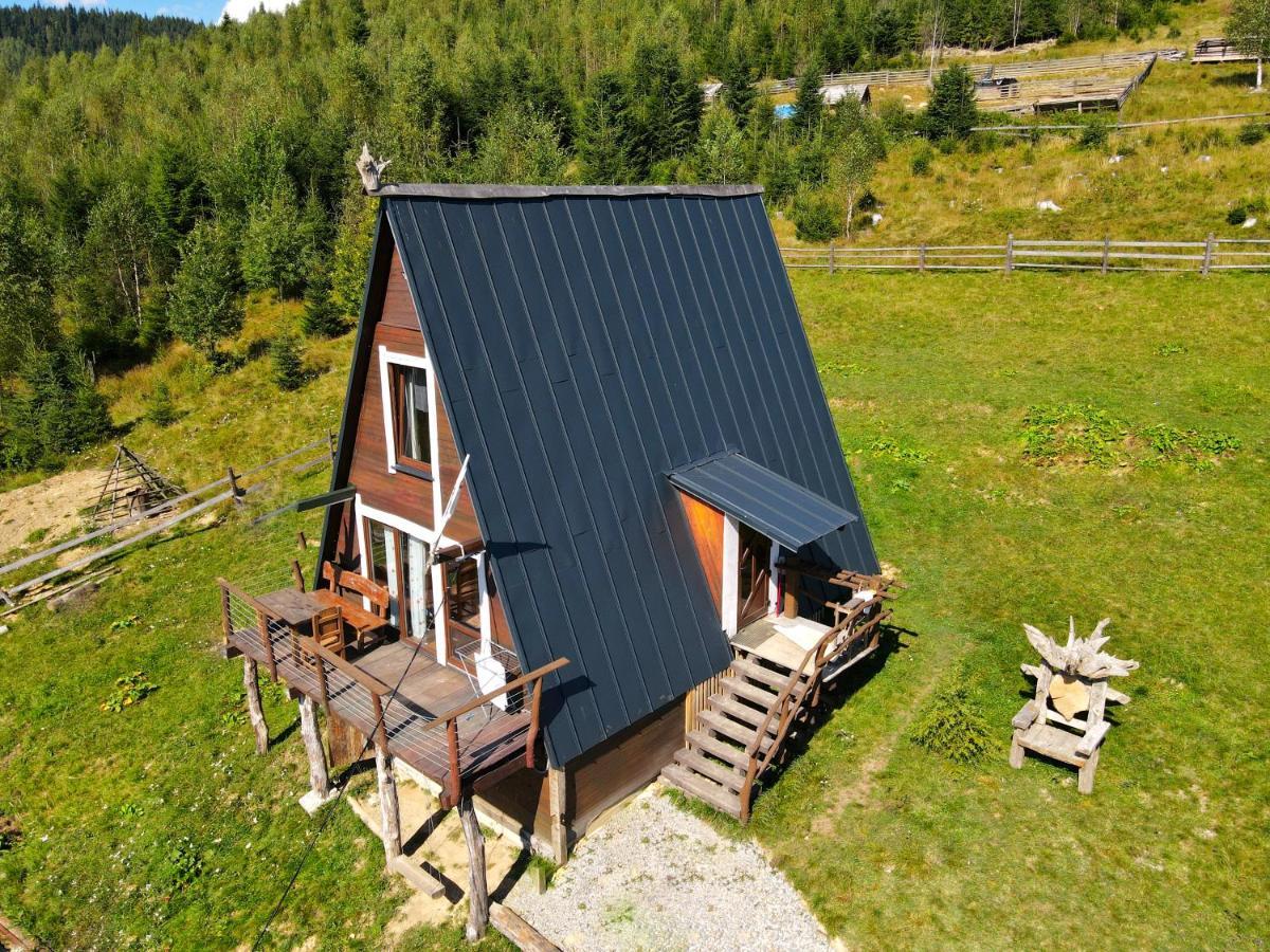 شقة Oak House باليانيتسيا المظهر الخارجي الصورة