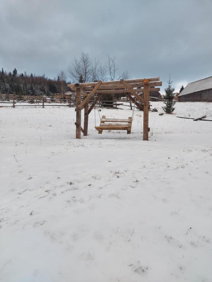 شقة Oak House باليانيتسيا المظهر الخارجي الصورة