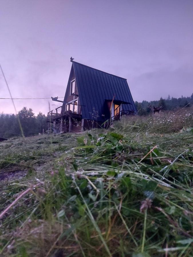 شقة Oak House باليانيتسيا المظهر الخارجي الصورة