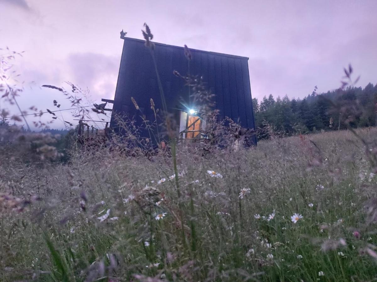 شقة Oak House باليانيتسيا المظهر الخارجي الصورة