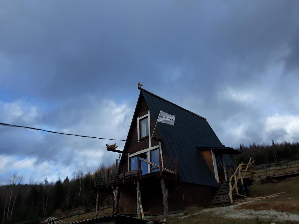 شقة Oak House باليانيتسيا المظهر الخارجي الصورة