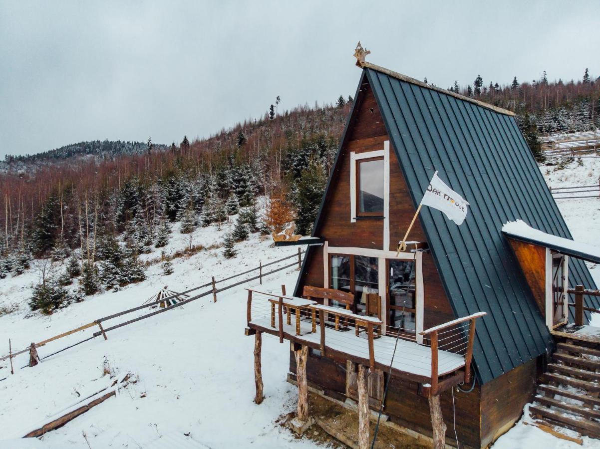 شقة Oak House باليانيتسيا المظهر الخارجي الصورة
